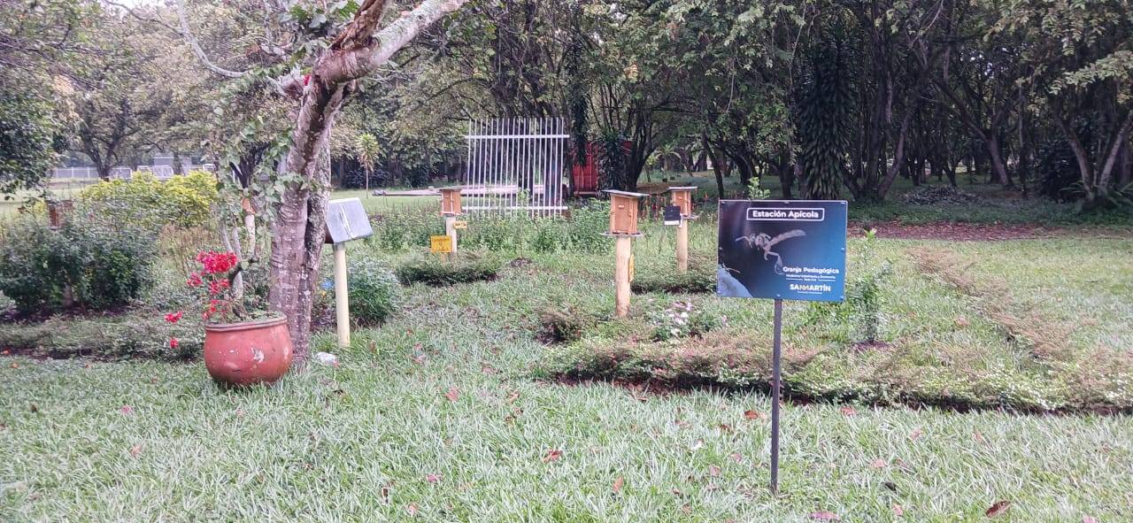 WhatsApp Image 2025-11-24 at 9.12.53 AM (1)