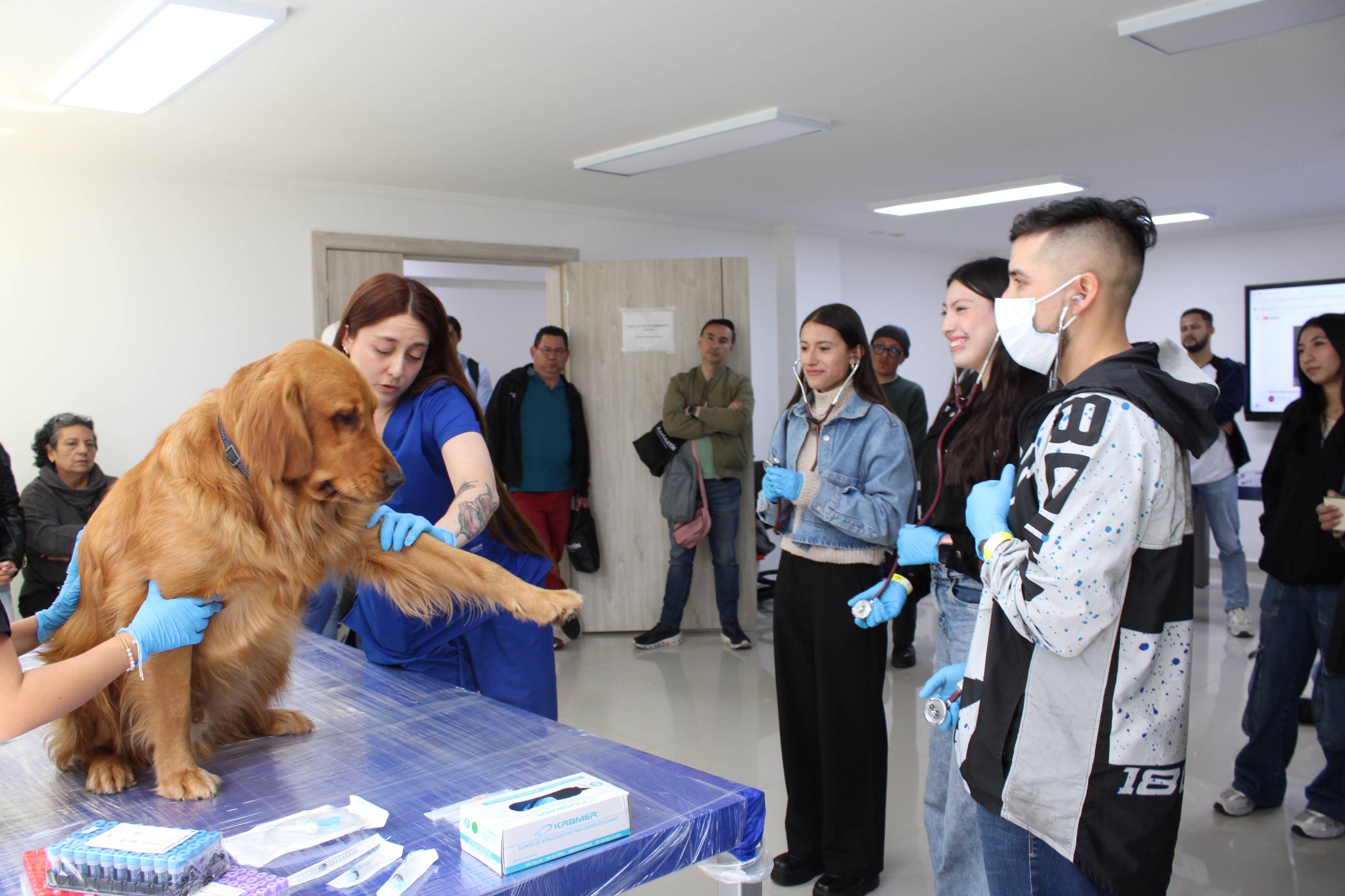 foto para la noticia